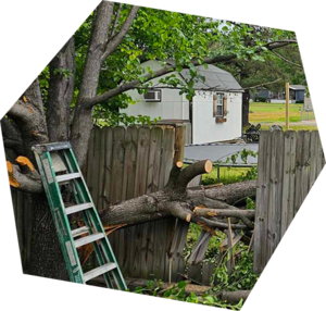 Storm Cleanup